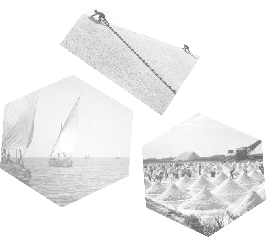 alchimia Sale Marino Iodato Cuor di Mare